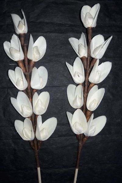 Sola Flower On Rattan Reed 11