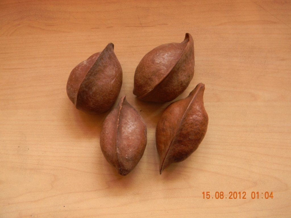 EKSIRA POD