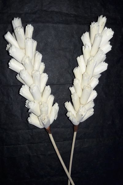 Sola Flower On Rattan Reed 10