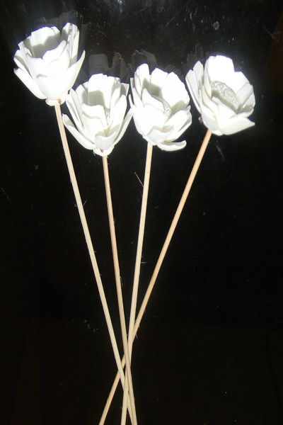 Sola Flower On Rattan Reed 12