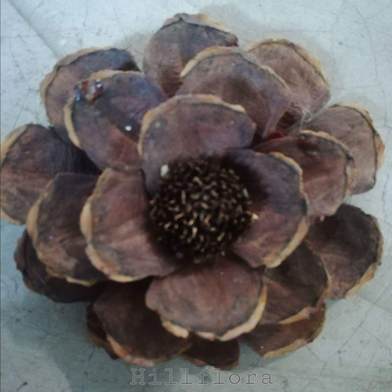 PINE PETAL FLOWER
