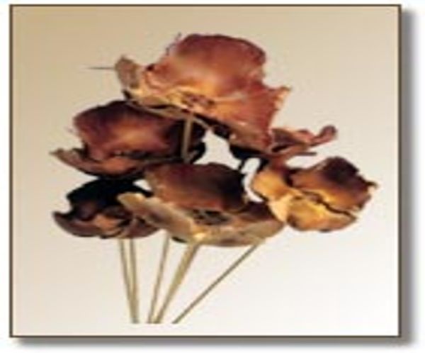 PALM CAP